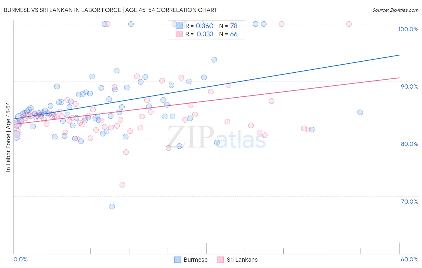 Burmese vs Sri Lankan In Labor Force | Age 45-54