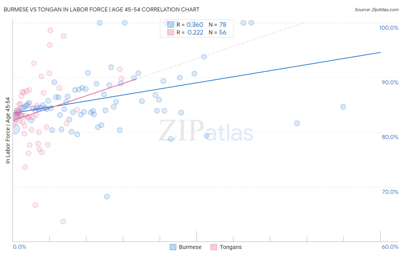 Burmese vs Tongan In Labor Force | Age 45-54