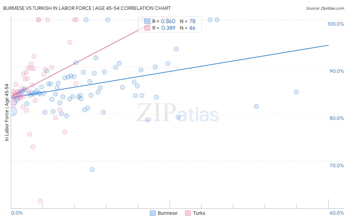 Burmese vs Turkish In Labor Force | Age 45-54