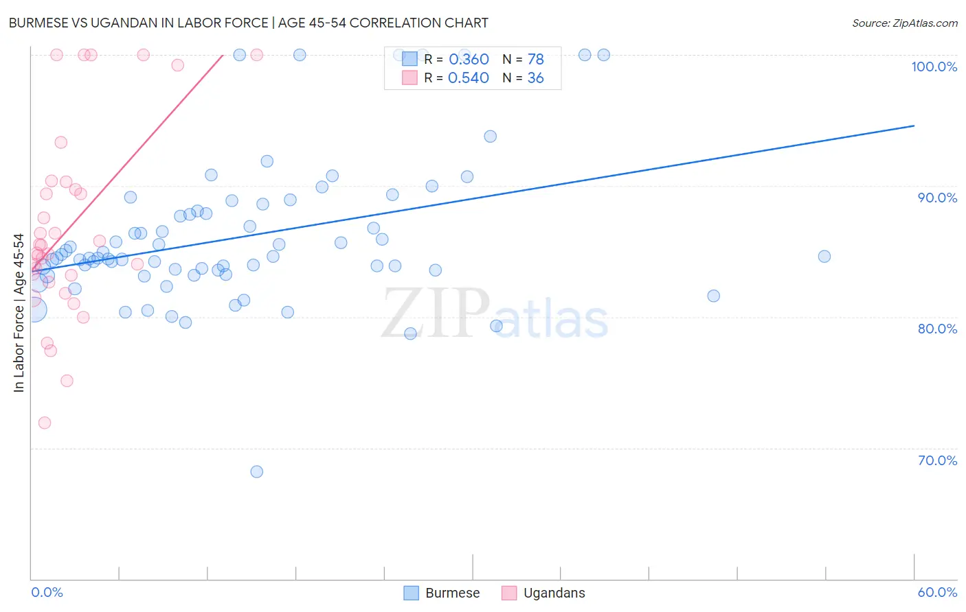 Burmese vs Ugandan In Labor Force | Age 45-54