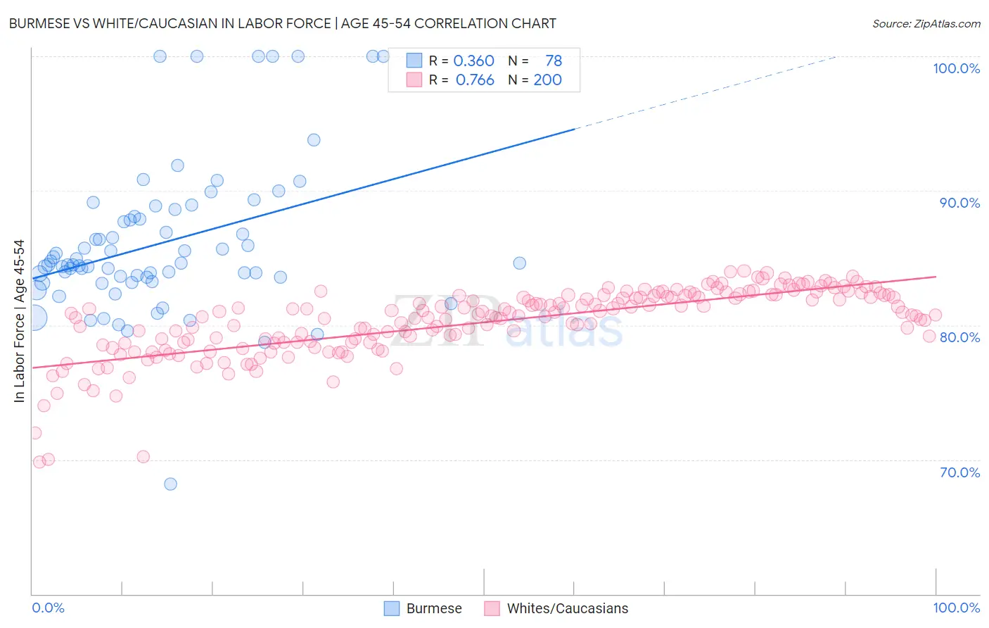 Burmese vs White/Caucasian In Labor Force | Age 45-54