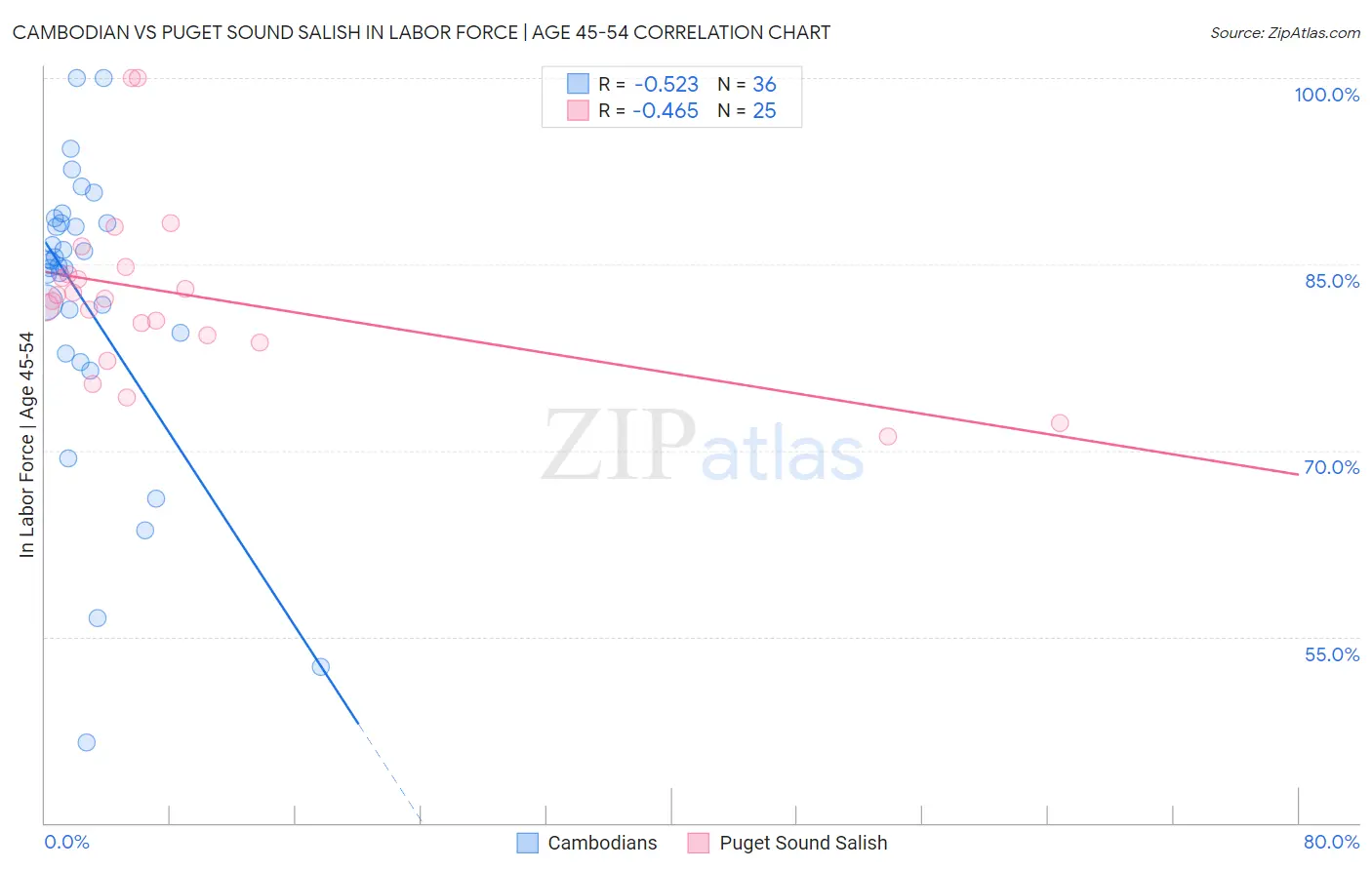 Cambodian vs Puget Sound Salish In Labor Force | Age 45-54