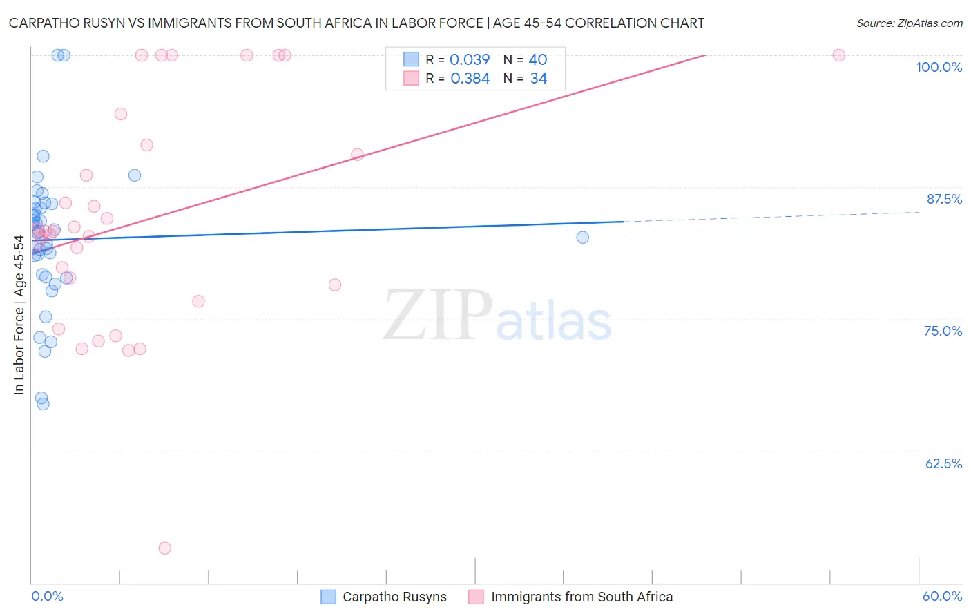 Carpatho Rusyn vs Immigrants from South Africa In Labor Force | Age 45-54