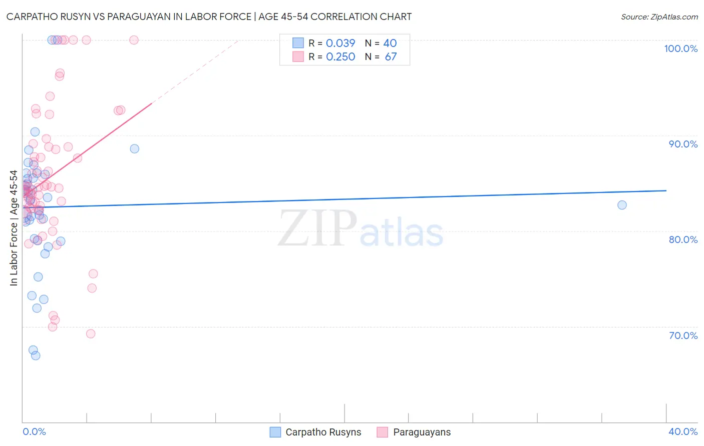 Carpatho Rusyn vs Paraguayan In Labor Force | Age 45-54