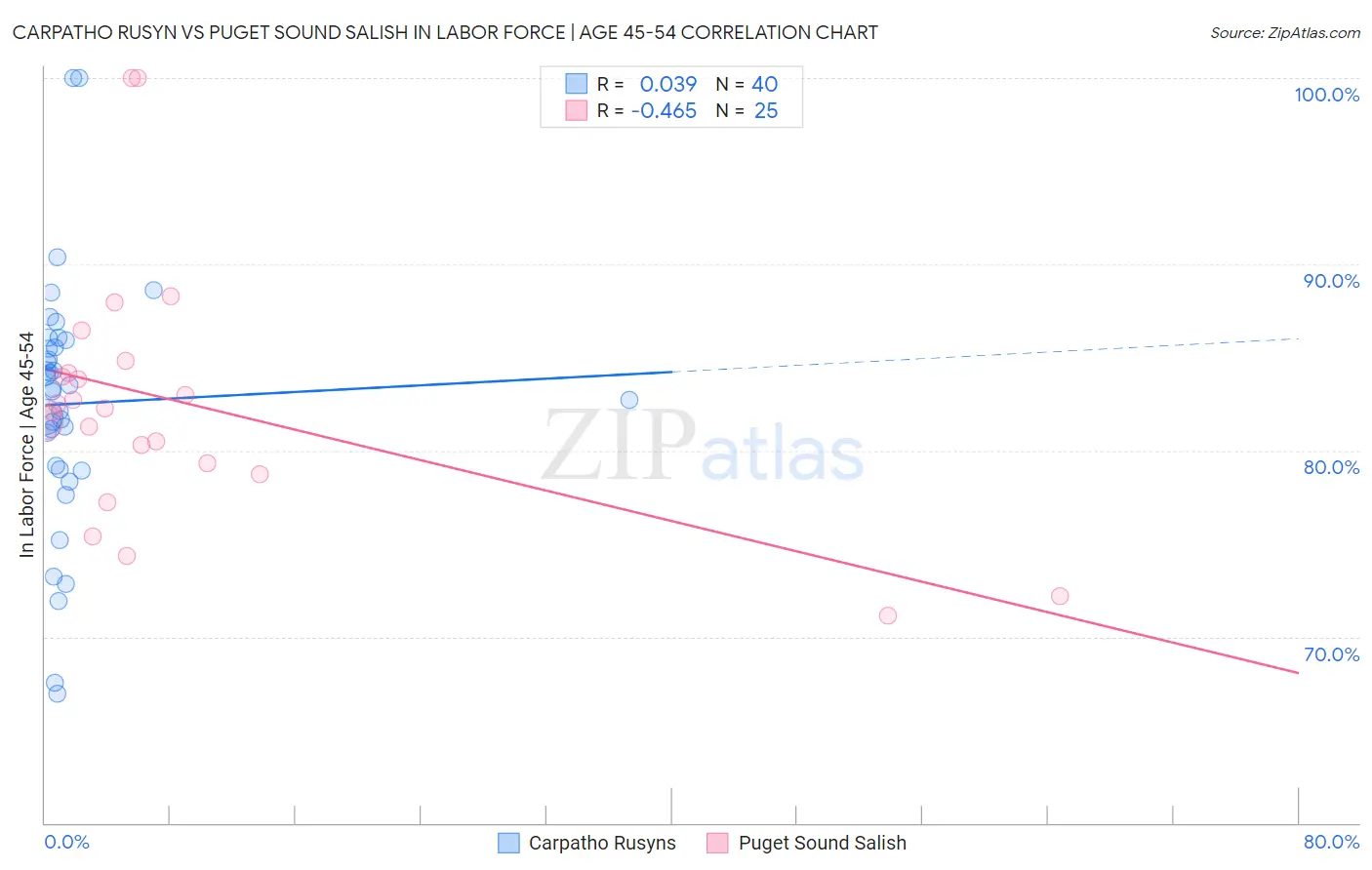 Carpatho Rusyn vs Puget Sound Salish In Labor Force | Age 45-54