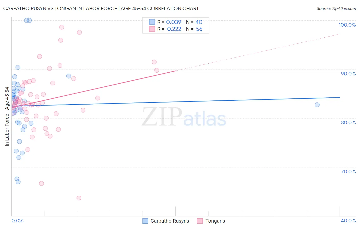 Carpatho Rusyn vs Tongan In Labor Force | Age 45-54