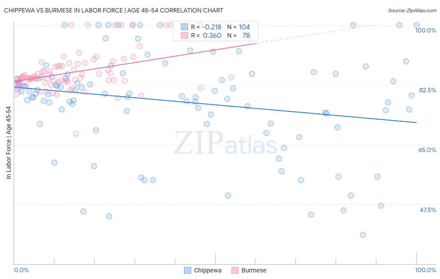 Chippewa vs Burmese In Labor Force | Age 45-54