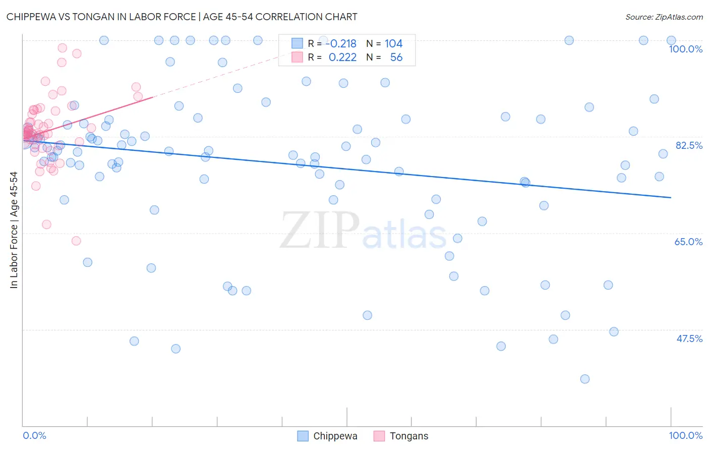 Chippewa vs Tongan In Labor Force | Age 45-54