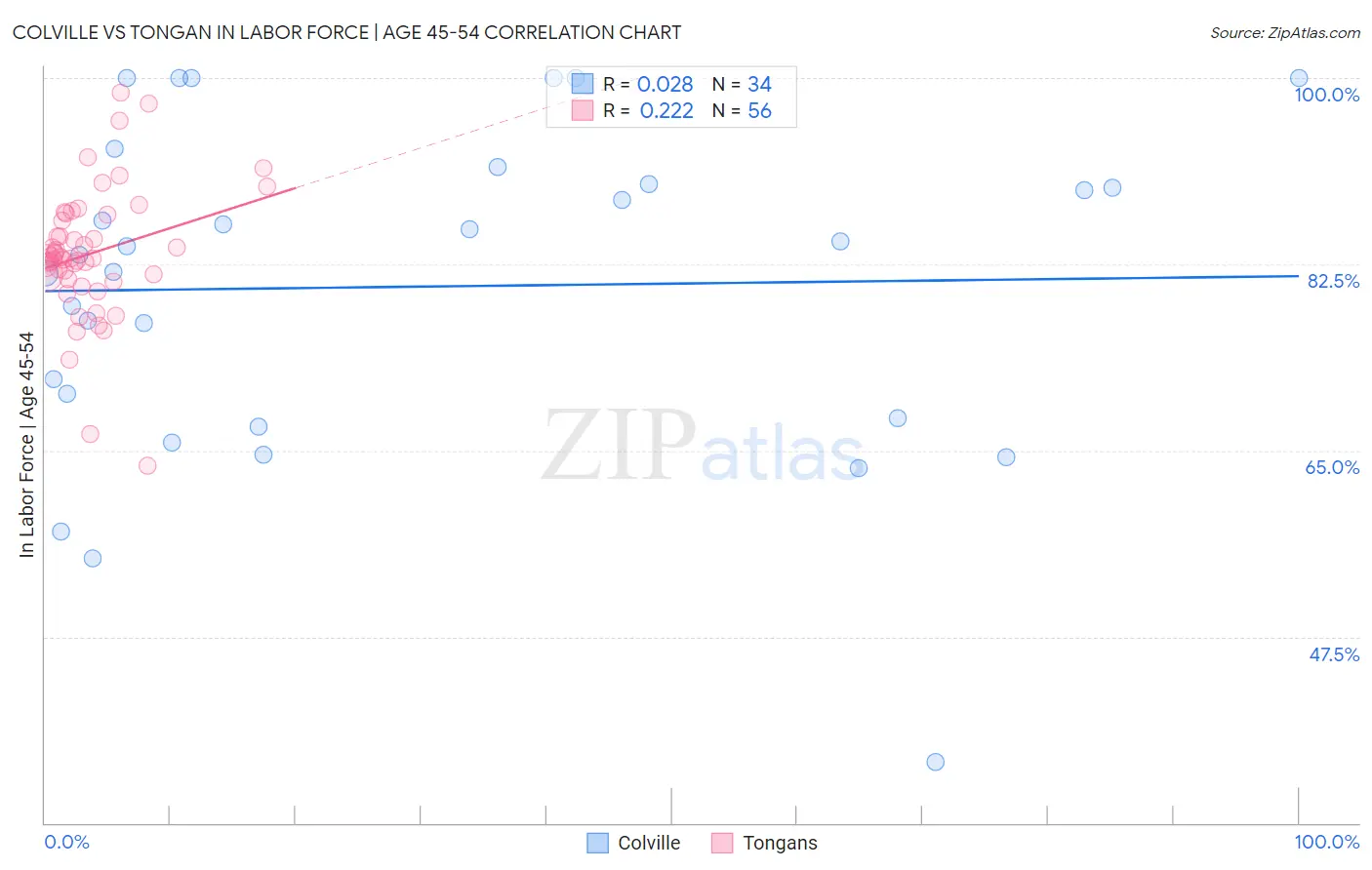 Colville vs Tongan In Labor Force | Age 45-54