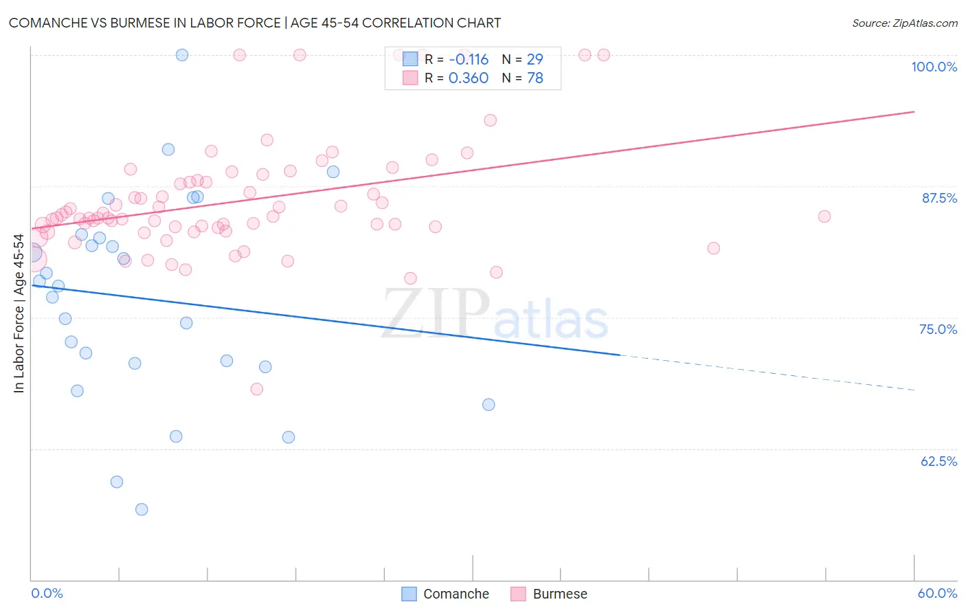Comanche vs Burmese In Labor Force | Age 45-54