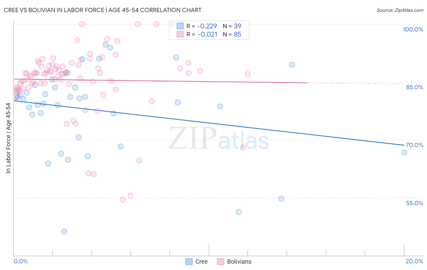 Cree vs Bolivian In Labor Force | Age 45-54