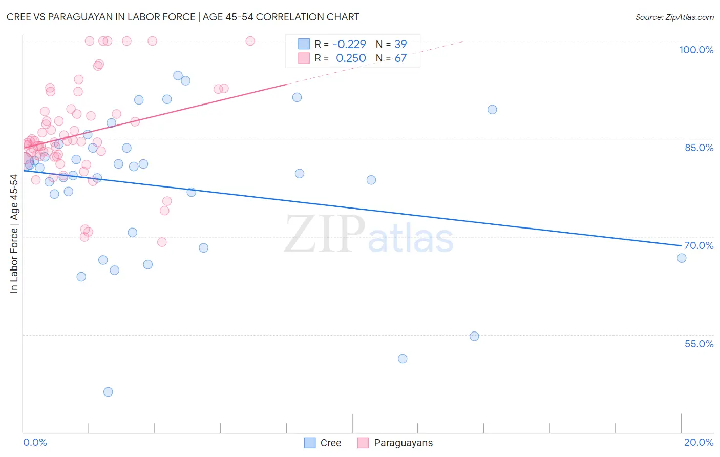 Cree vs Paraguayan In Labor Force | Age 45-54