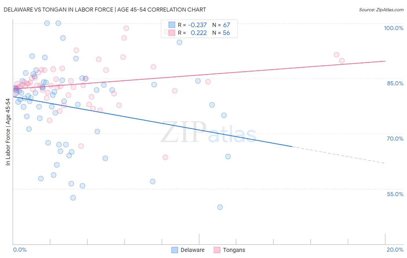 Delaware vs Tongan In Labor Force | Age 45-54