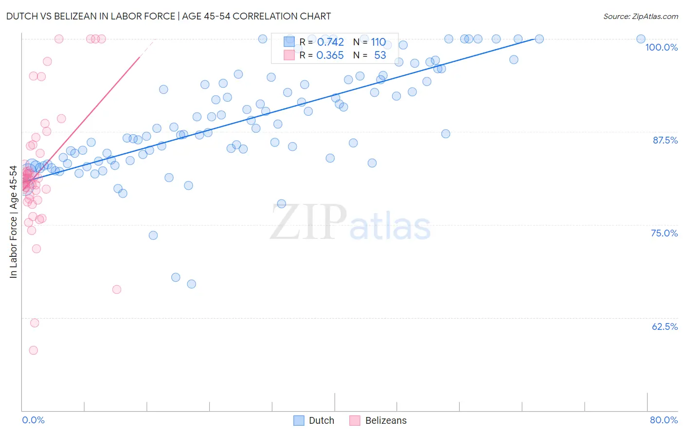 Dutch vs Belizean In Labor Force | Age 45-54