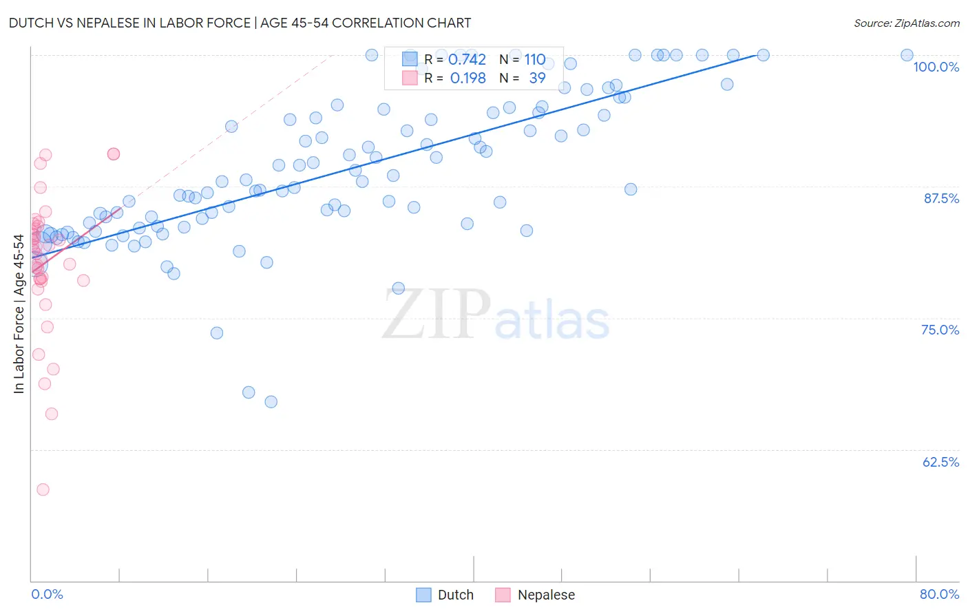 Dutch vs Nepalese In Labor Force | Age 45-54