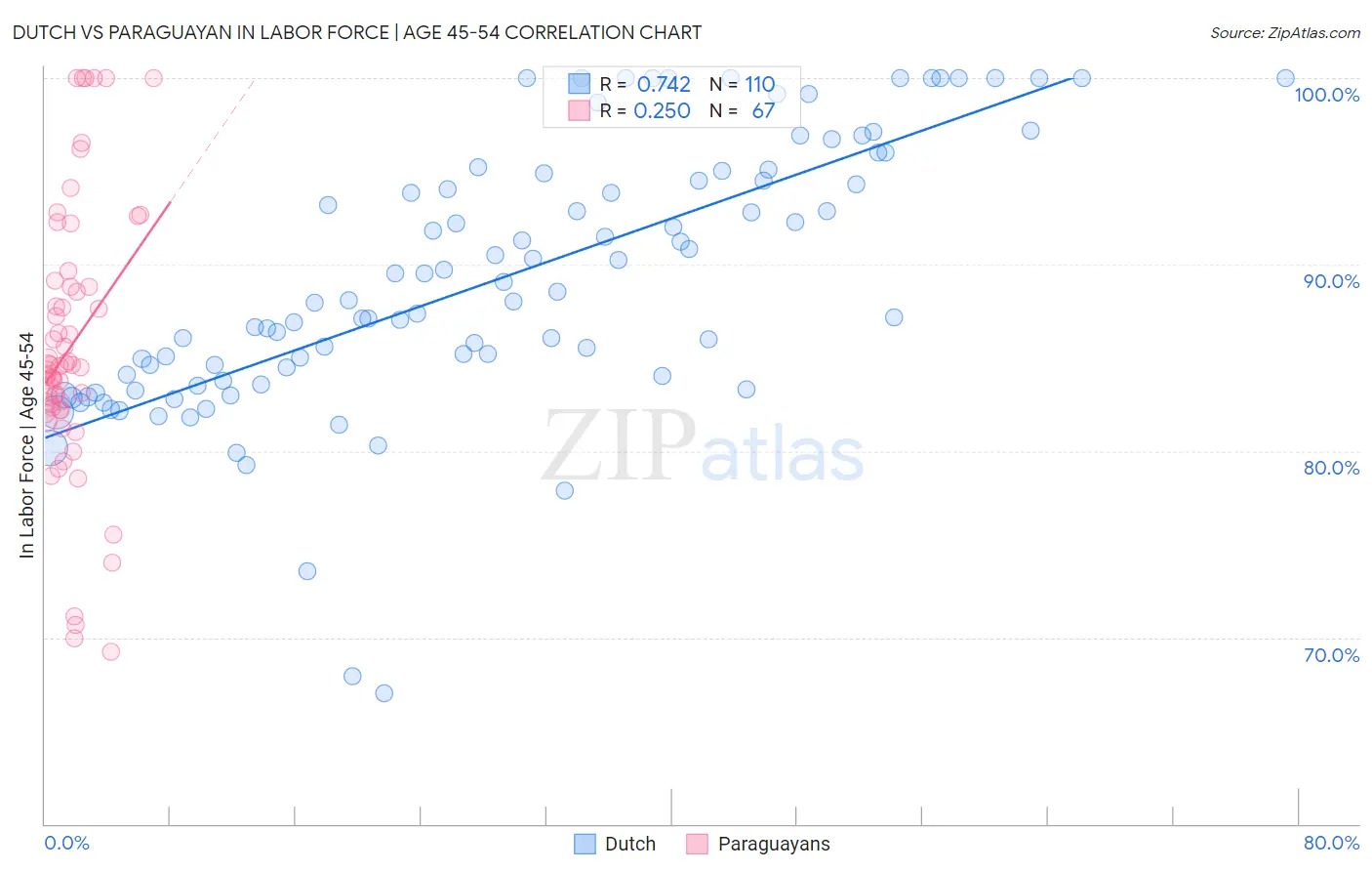 Dutch vs Paraguayan In Labor Force | Age 45-54