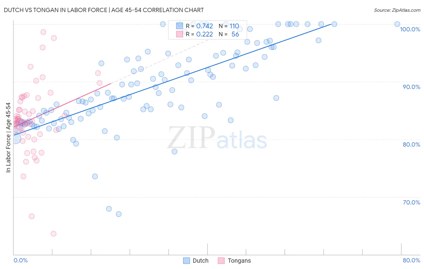 Dutch vs Tongan In Labor Force | Age 45-54