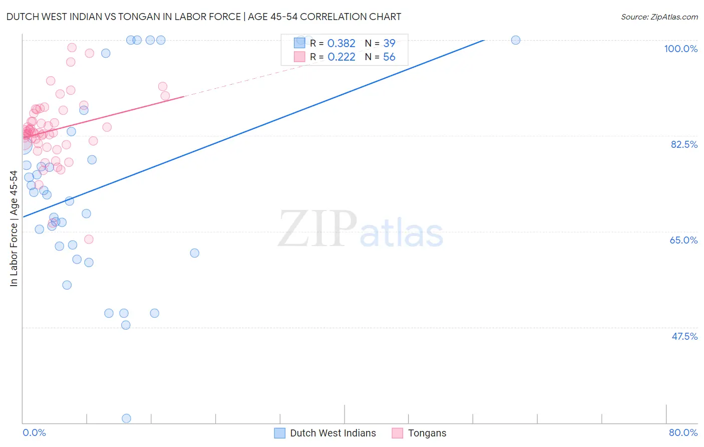 Dutch West Indian vs Tongan In Labor Force | Age 45-54