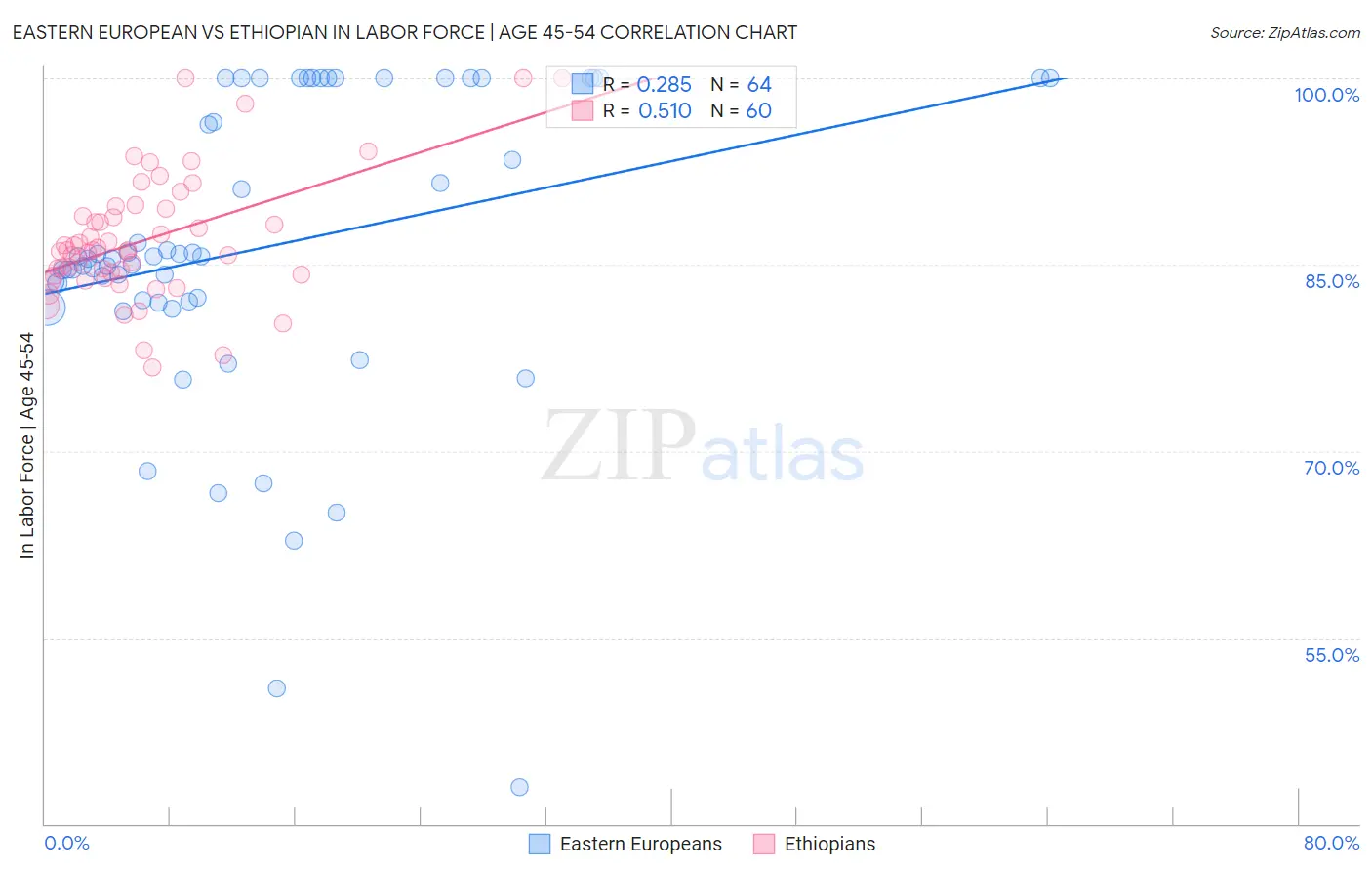 Eastern European vs Ethiopian In Labor Force | Age 45-54