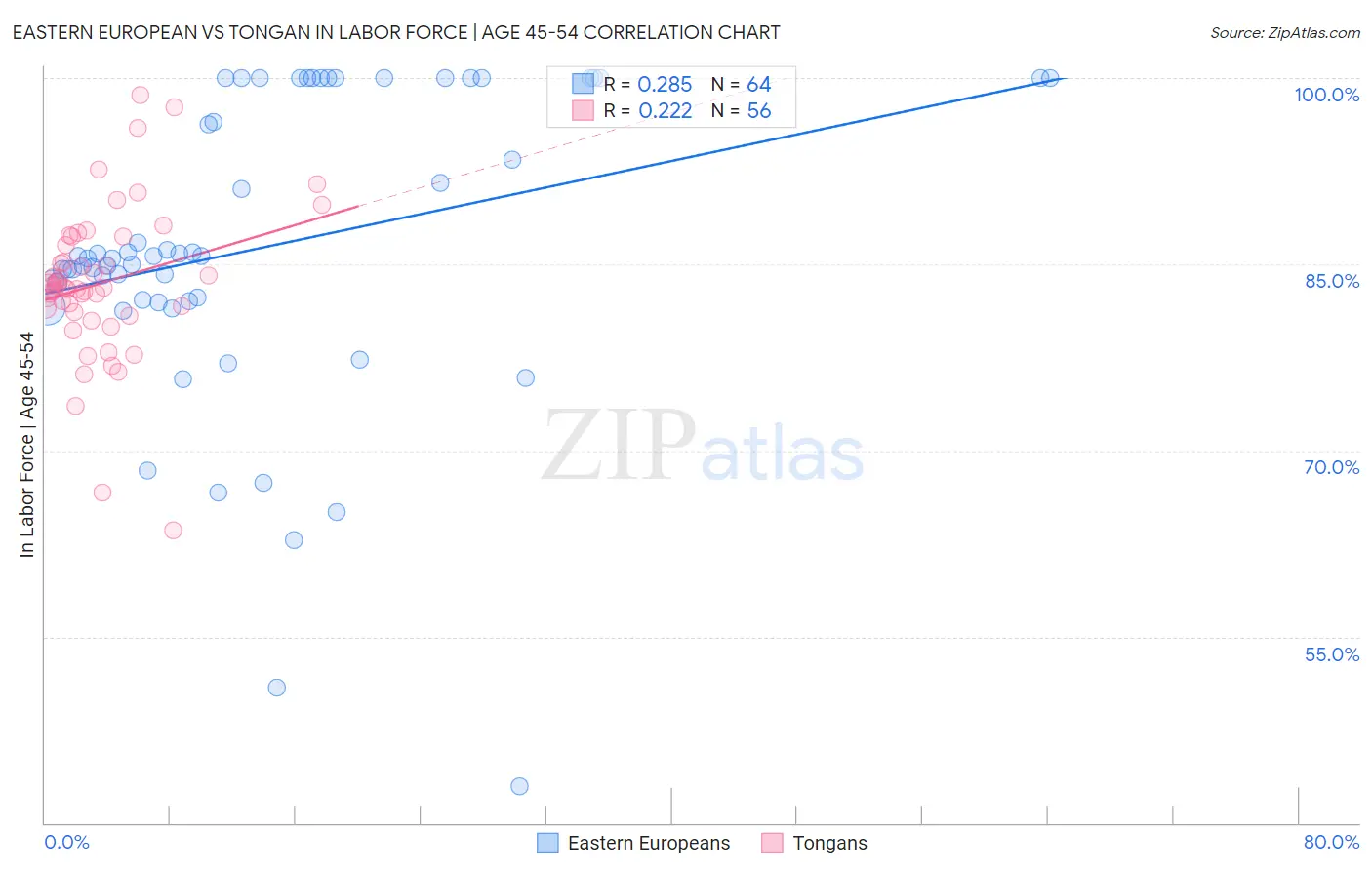 Eastern European vs Tongan In Labor Force | Age 45-54