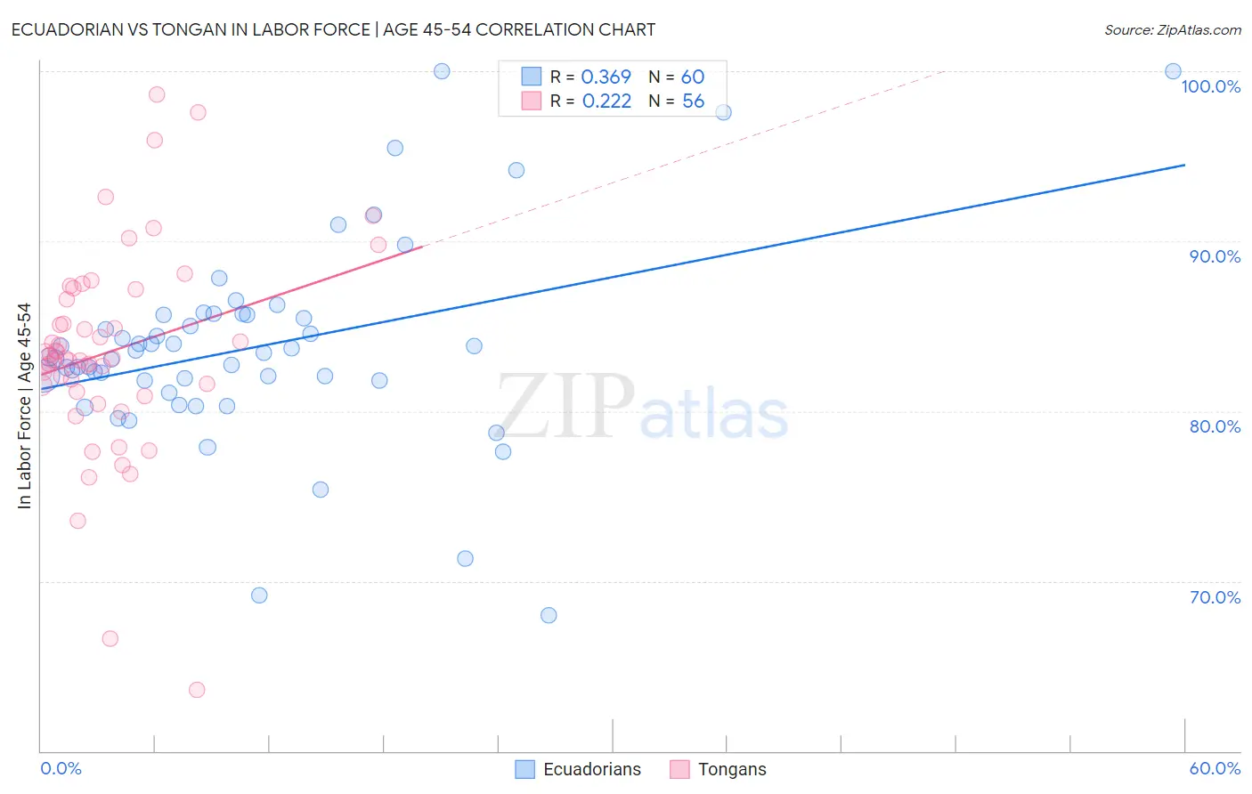 Ecuadorian vs Tongan In Labor Force | Age 45-54