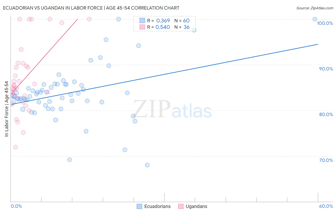 Ecuadorian vs Ugandan In Labor Force | Age 45-54