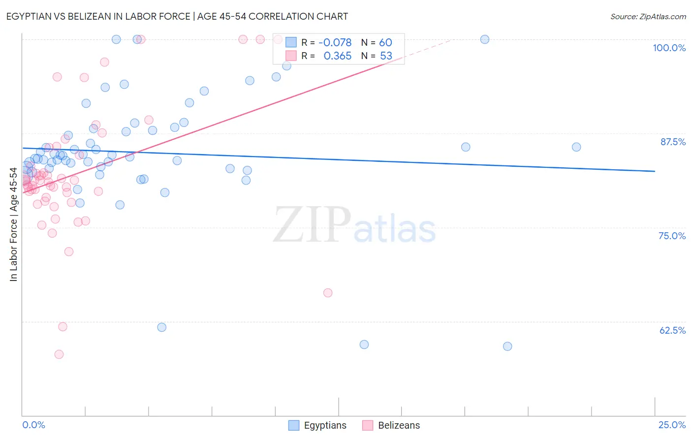 Egyptian vs Belizean In Labor Force | Age 45-54