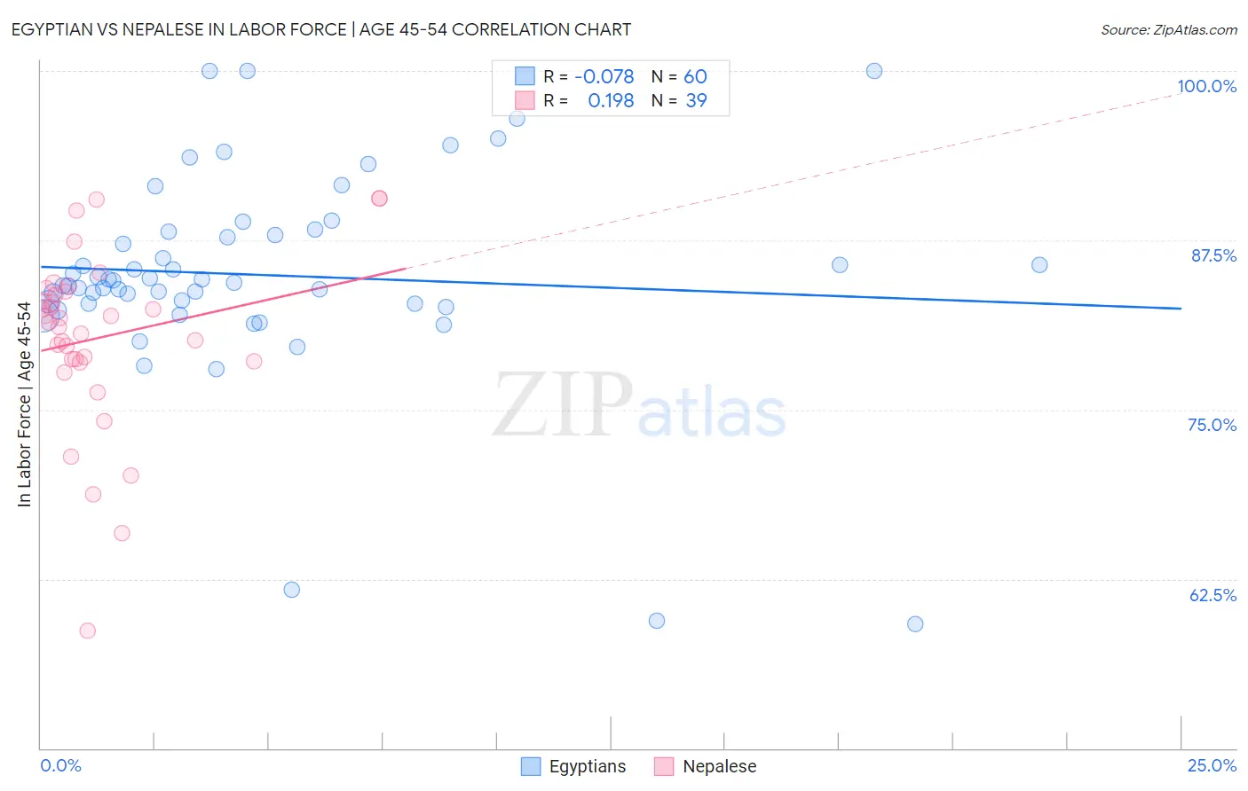 Egyptian vs Nepalese In Labor Force | Age 45-54