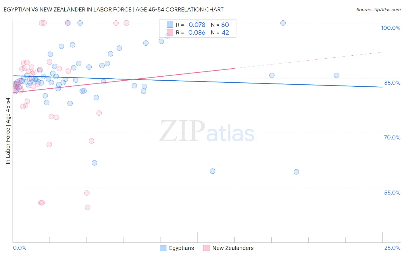 Egyptian vs New Zealander In Labor Force | Age 45-54