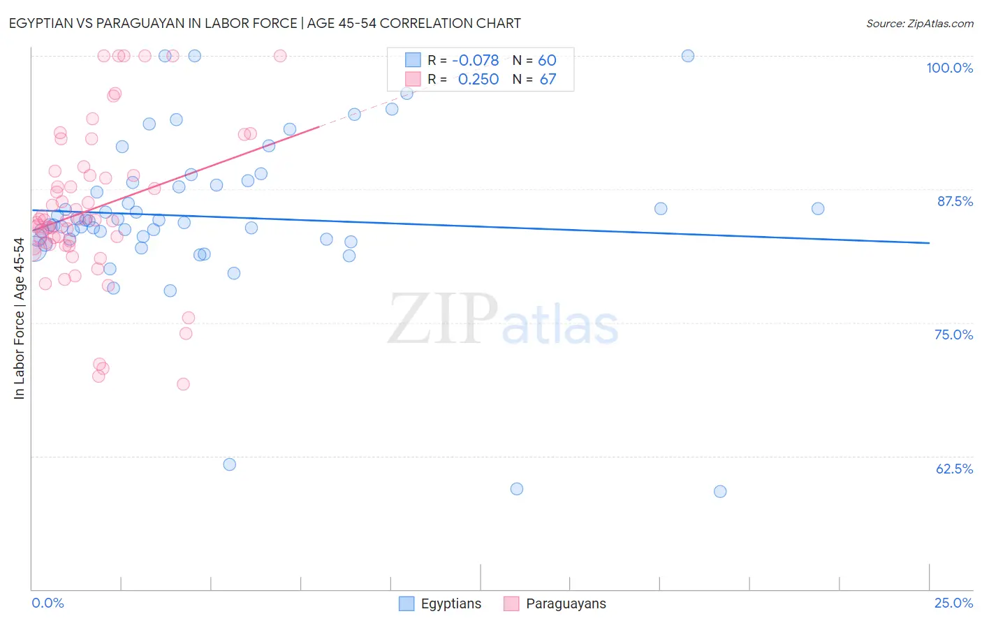 Egyptian vs Paraguayan In Labor Force | Age 45-54