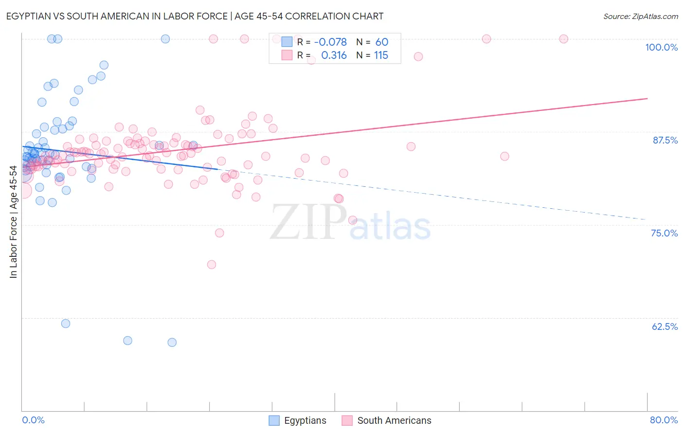 Egyptian vs South American In Labor Force | Age 45-54