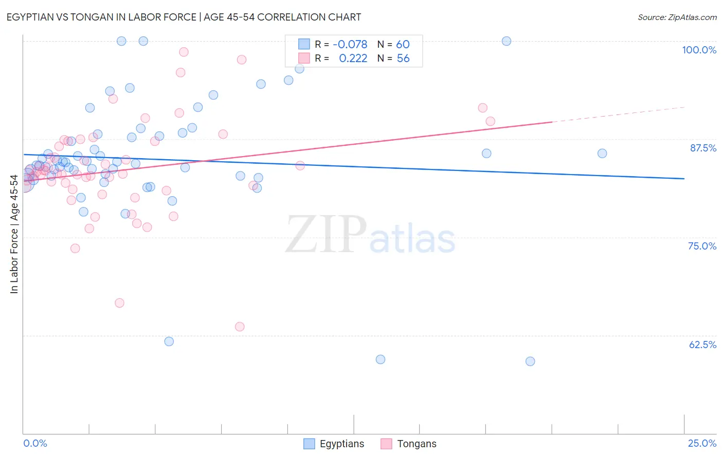 Egyptian vs Tongan In Labor Force | Age 45-54