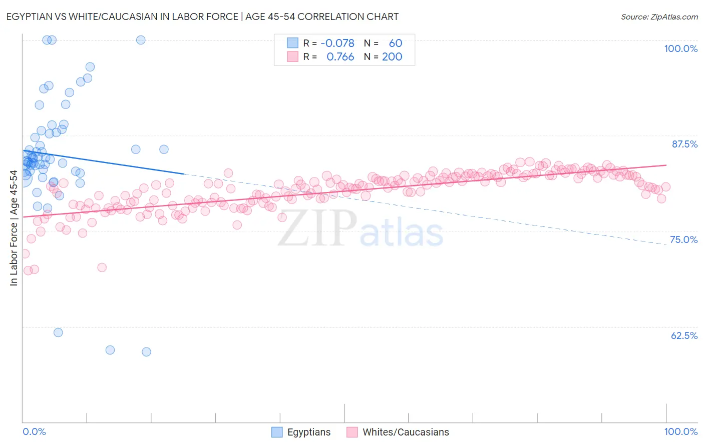 Egyptian vs White/Caucasian In Labor Force | Age 45-54