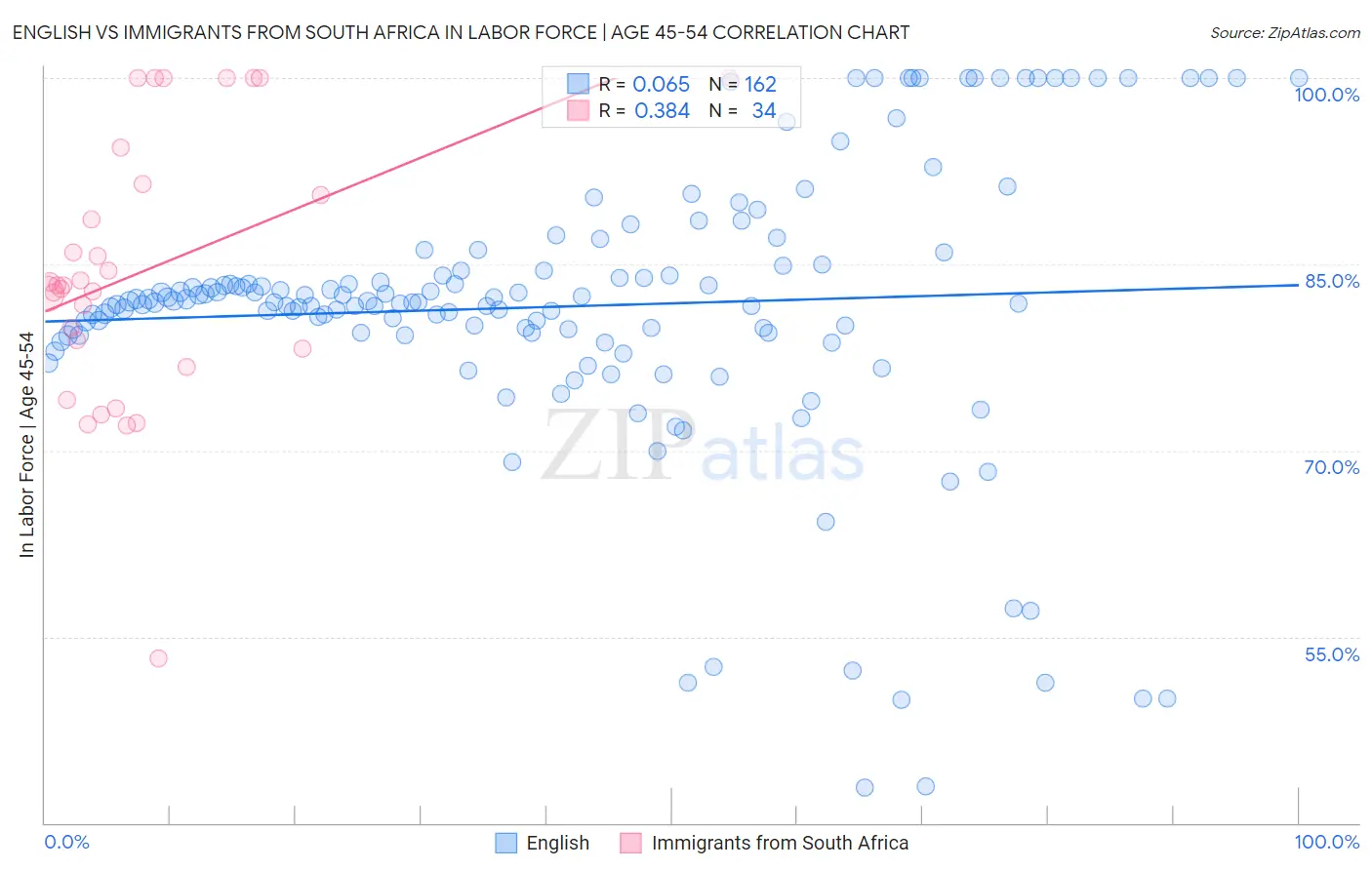 English vs Immigrants from South Africa In Labor Force | Age 45-54