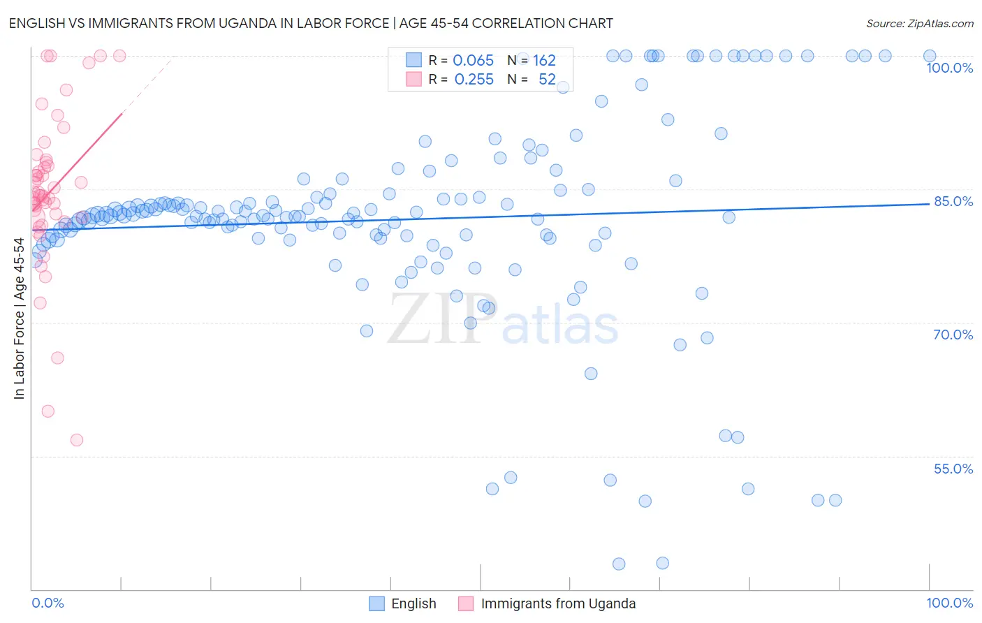 English vs Immigrants from Uganda In Labor Force | Age 45-54