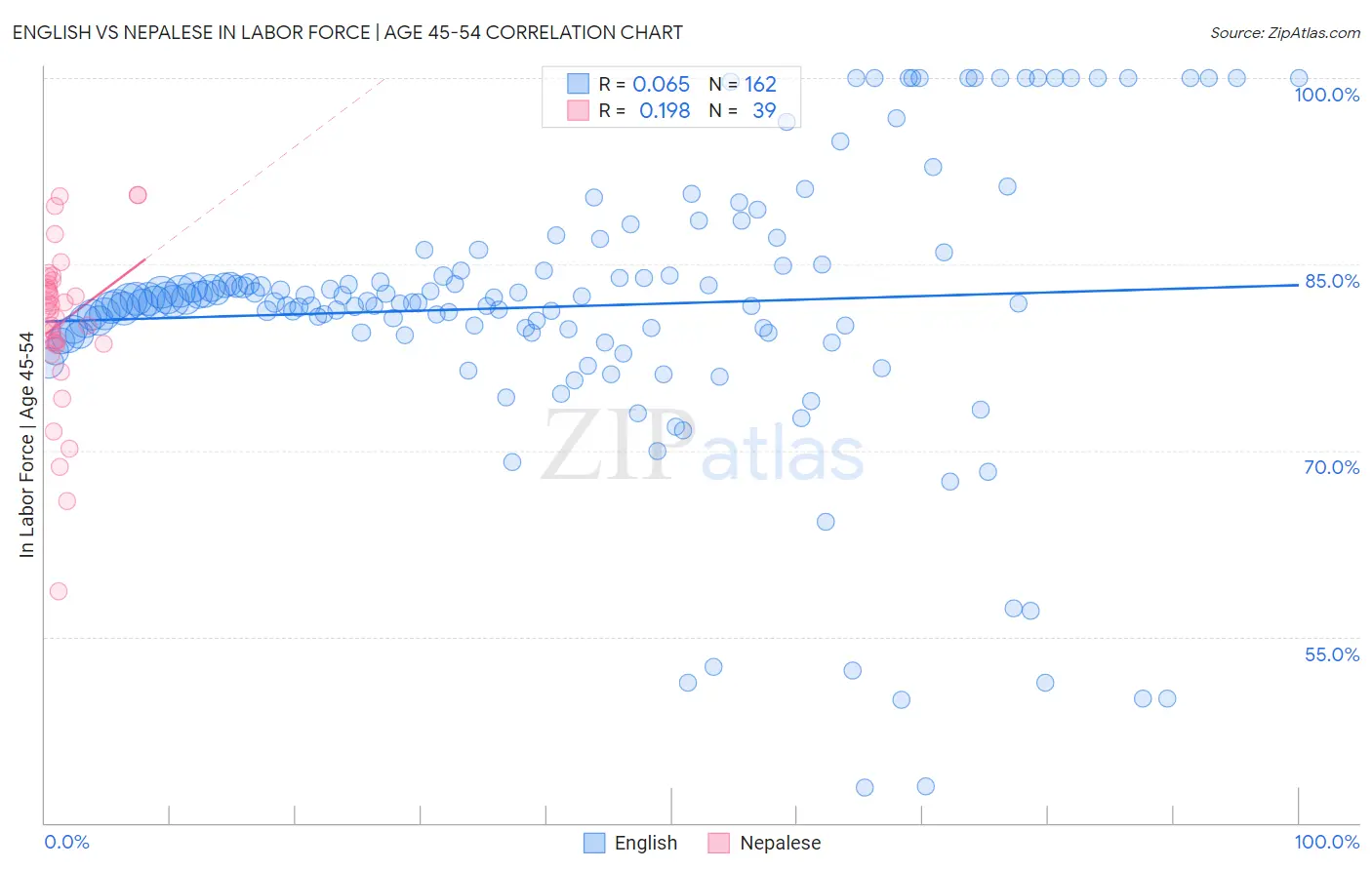 English vs Nepalese In Labor Force | Age 45-54