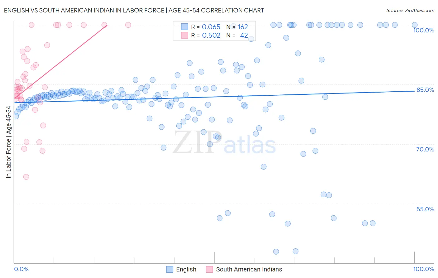 English vs South American Indian In Labor Force | Age 45-54