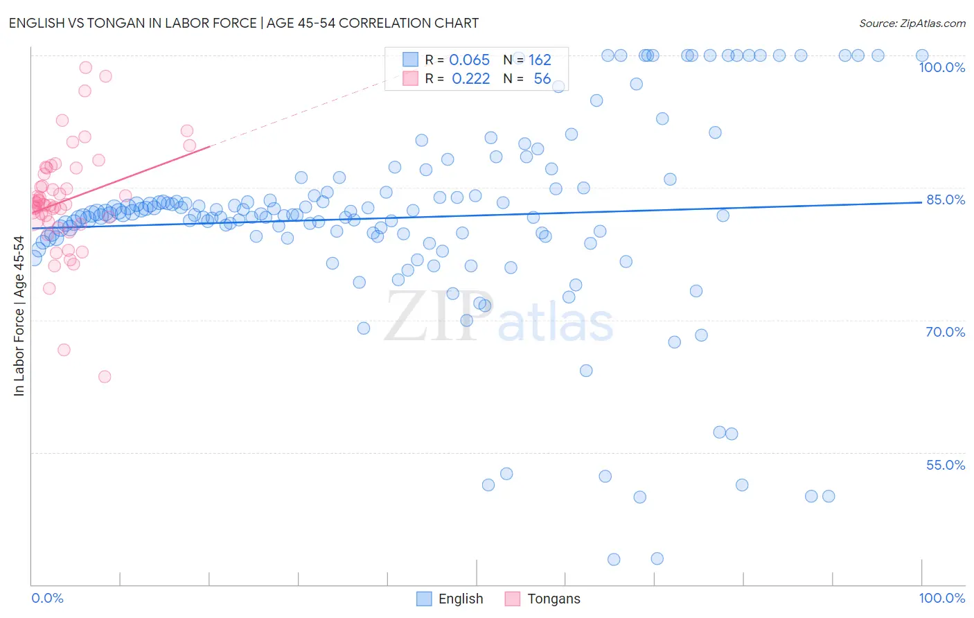 English vs Tongan In Labor Force | Age 45-54
