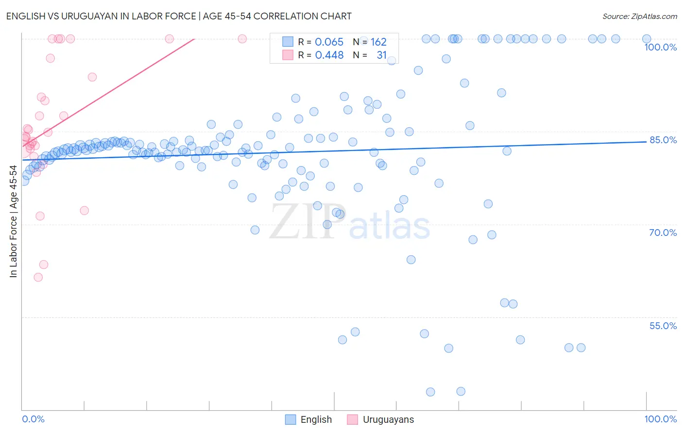 English vs Uruguayan In Labor Force | Age 45-54