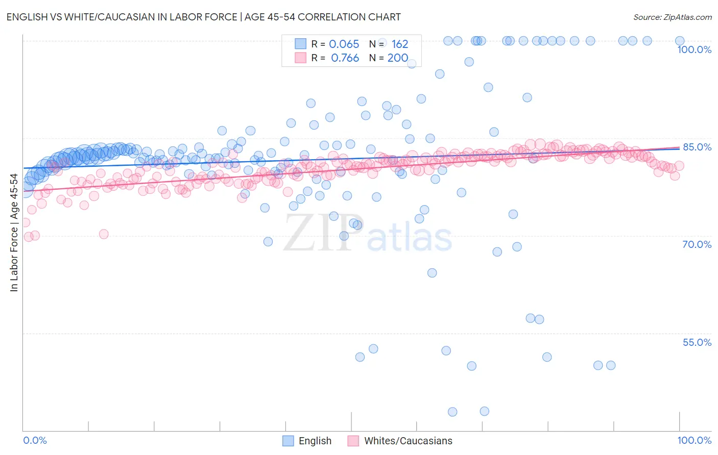 English vs White/Caucasian In Labor Force | Age 45-54