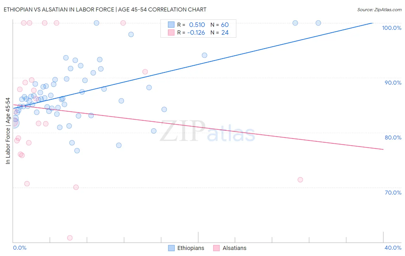 Ethiopian vs Alsatian In Labor Force | Age 45-54