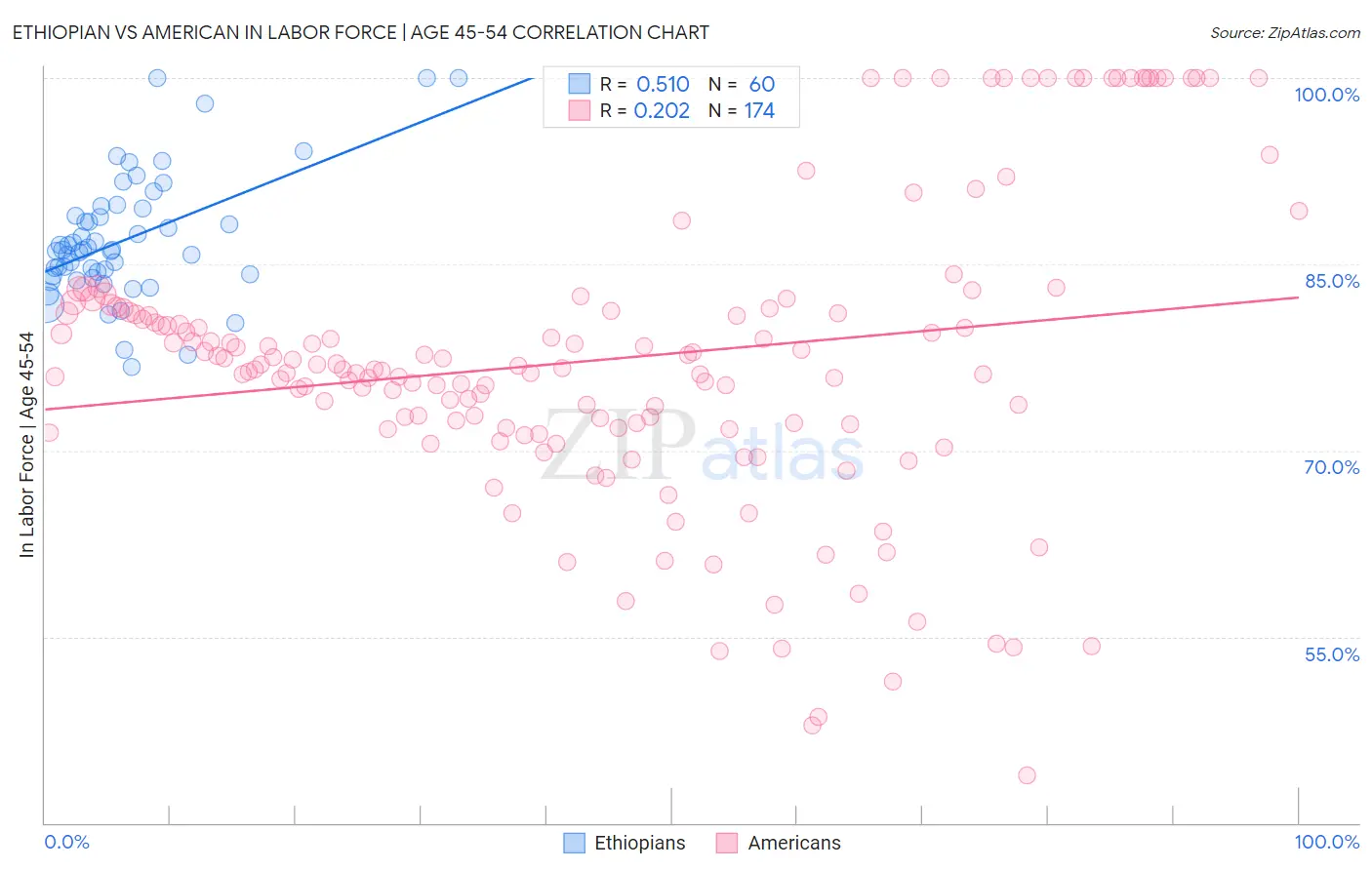 Ethiopian vs American In Labor Force | Age 45-54