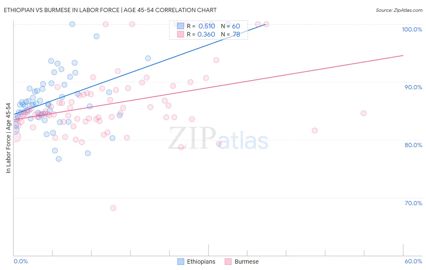 Ethiopian vs Burmese In Labor Force | Age 45-54