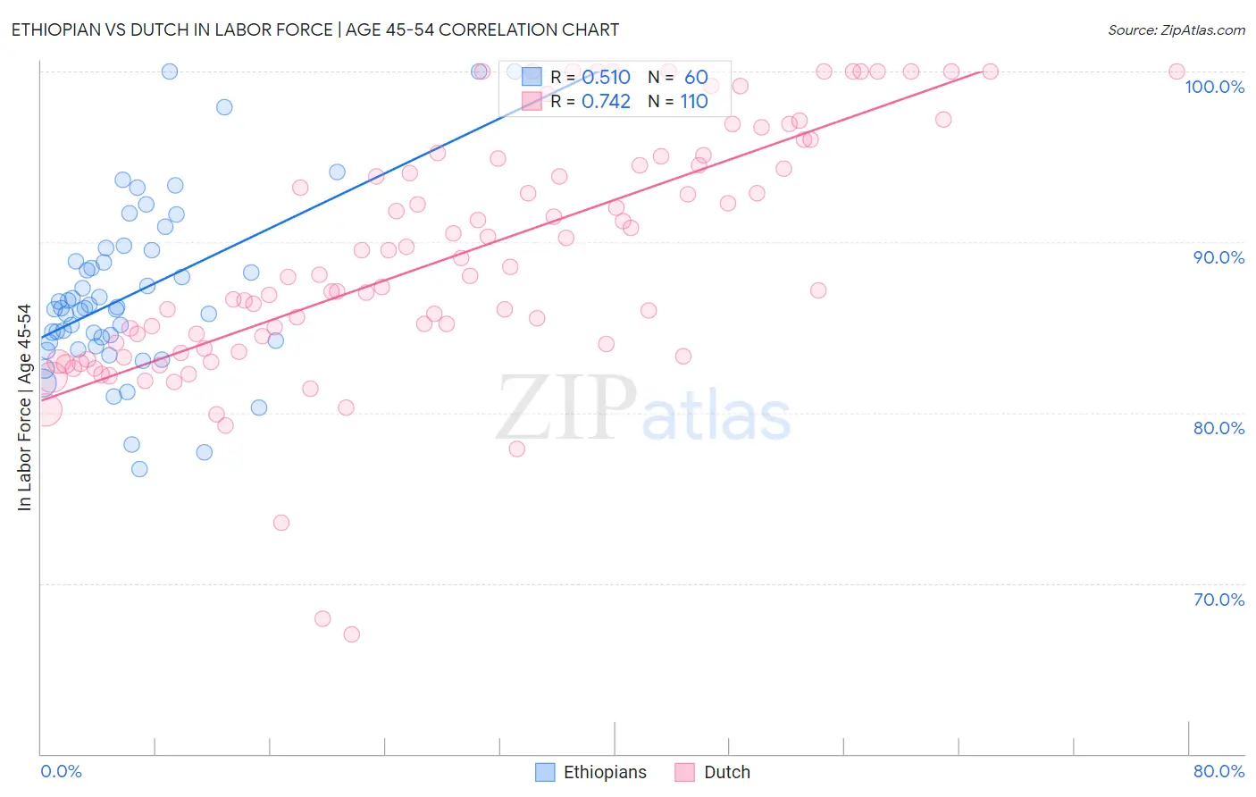 Ethiopian vs Dutch In Labor Force | Age 45-54