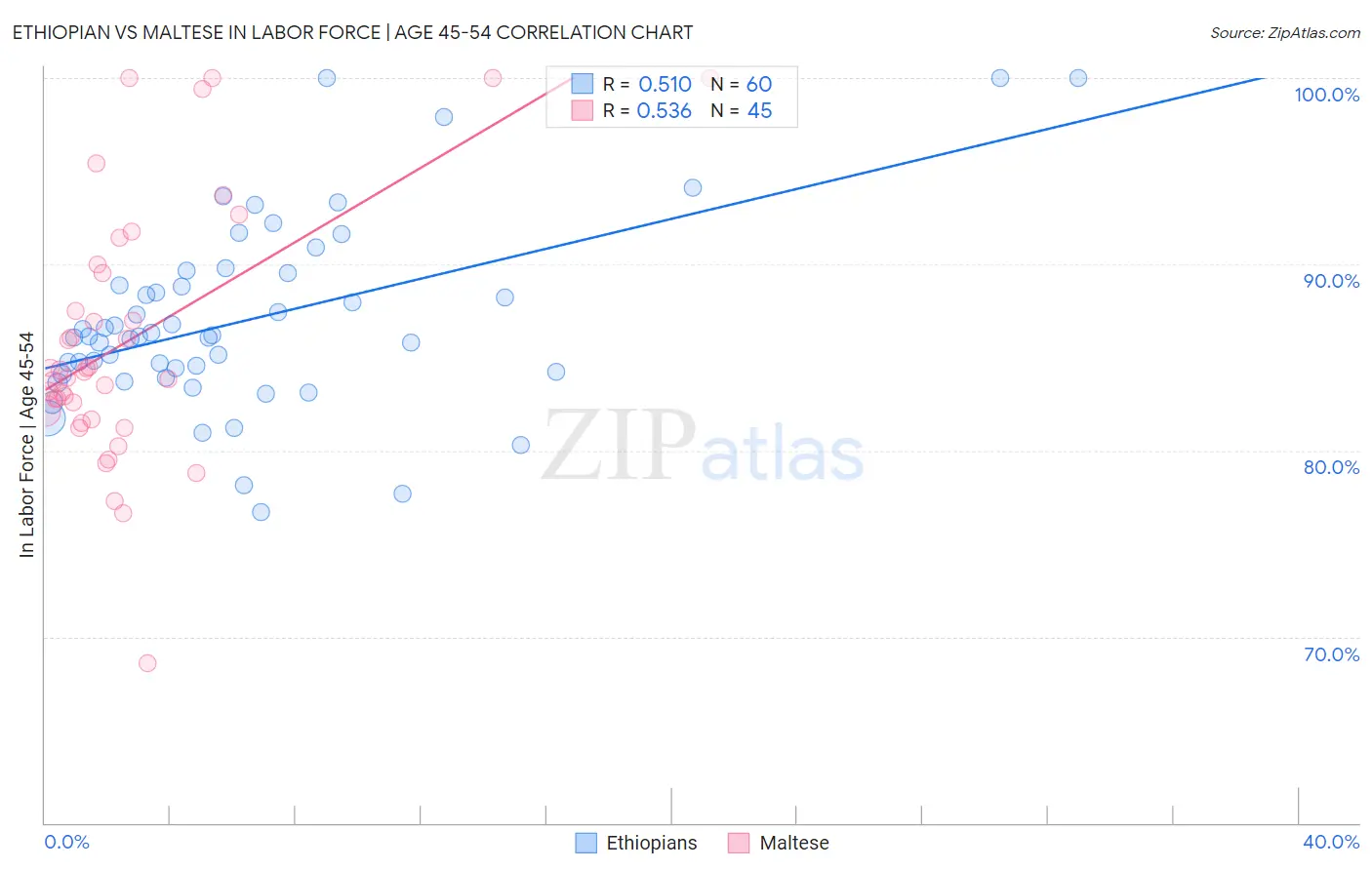 Ethiopian vs Maltese In Labor Force | Age 45-54