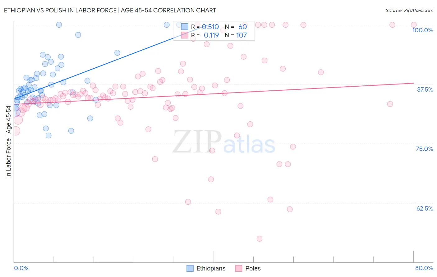Ethiopian vs Polish In Labor Force | Age 45-54