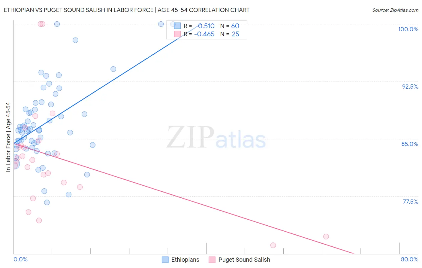 Ethiopian vs Puget Sound Salish In Labor Force | Age 45-54