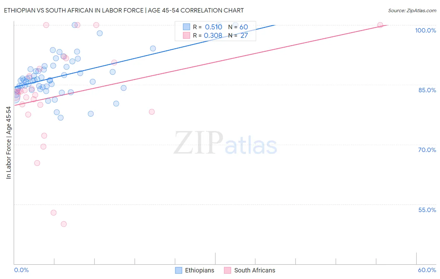 Ethiopian vs South African In Labor Force | Age 45-54