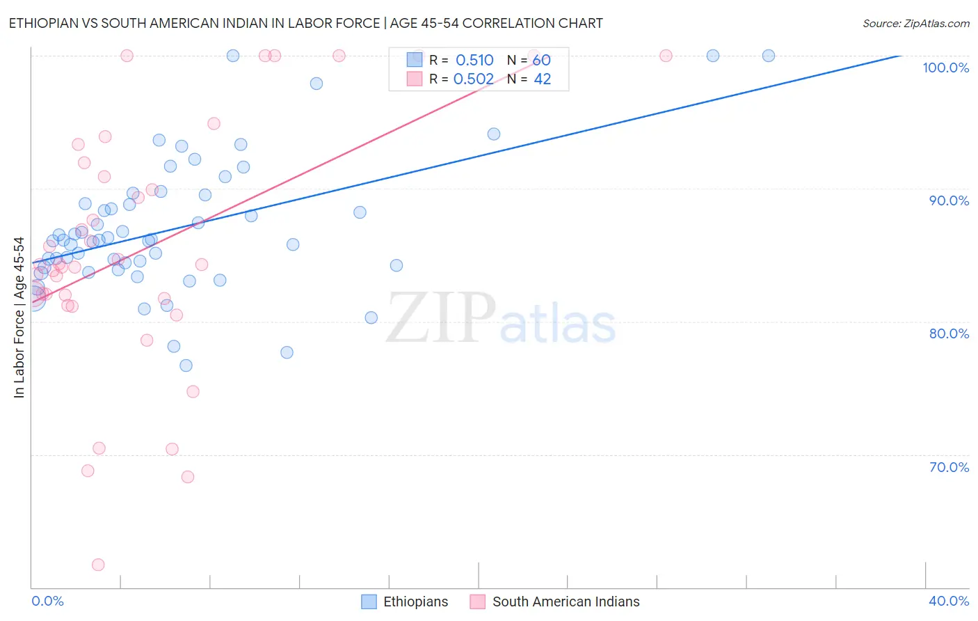 Ethiopian vs South American Indian In Labor Force | Age 45-54