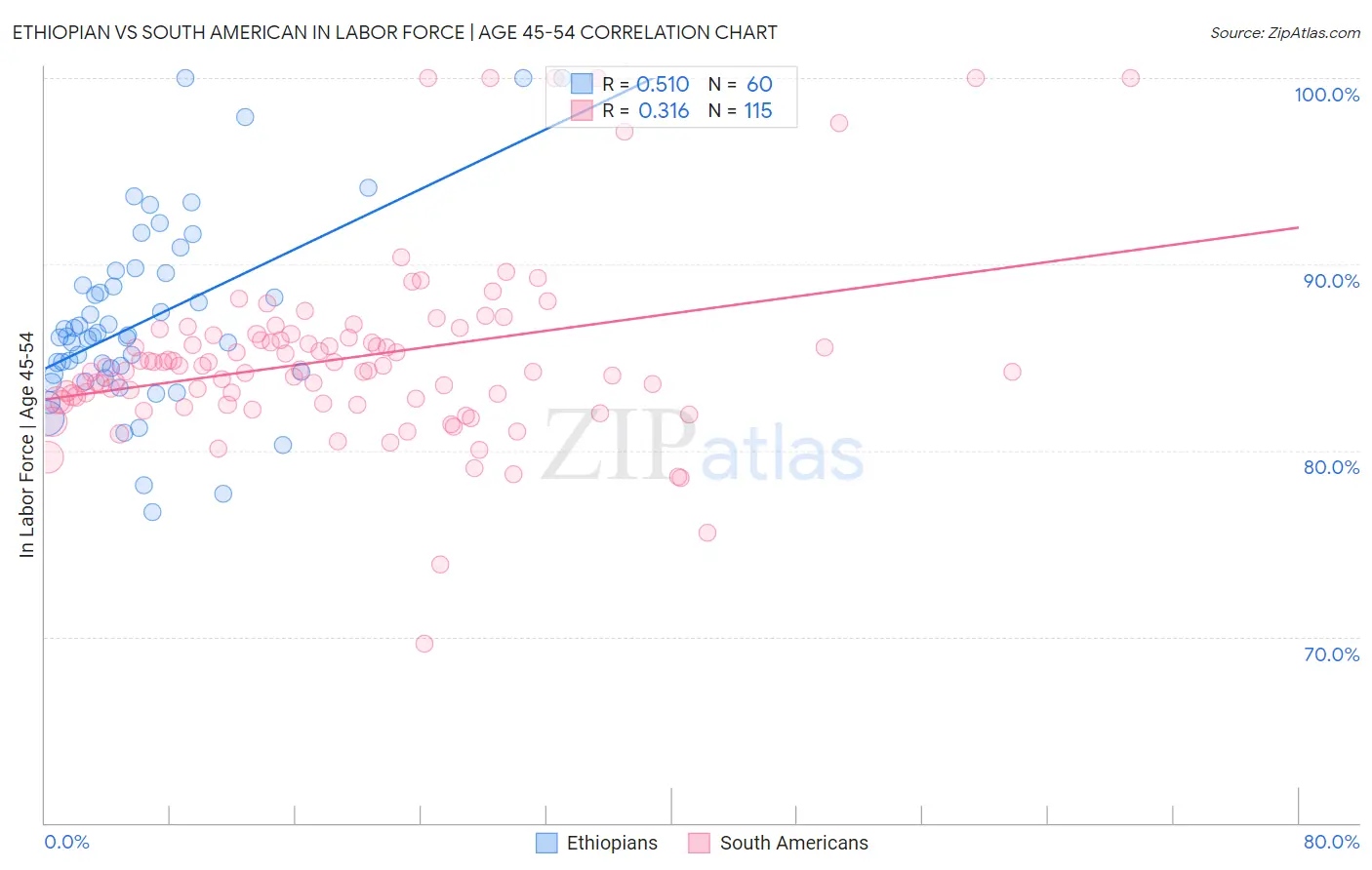 Ethiopian vs South American In Labor Force | Age 45-54